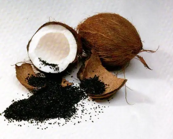 Factory Supply Activated Carbon Txiv maj phaub plhaub Granular Txiv maj phaub Plhaub Charcoal Food Grade Activated Carbon