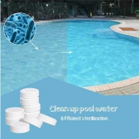 Pas Dej Disinfection Chlorine Granules 70 Calcium Hypochlorite 7778-54-3